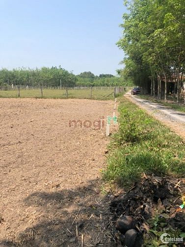 Hình ảnh BÁN GẤP ĐẤT tại TT. Thành Phố Tây Ninh 207m² 453tr PLRR