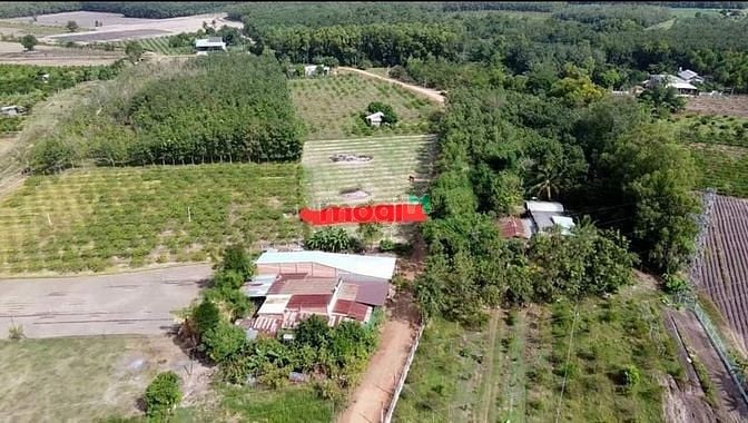 Hình ảnh NHỰA VÔ TỚI ĐẤT thổ cư 5x65 SHR tại xã Cẩm Giang, 130m2