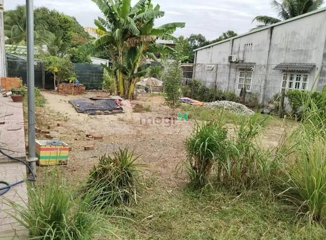 Hình ảnh BÁN GẤP ĐẤT NGAY Cây Da, Phước Thạnh, Gò Dầu 140m² giá 420tr có sổ
