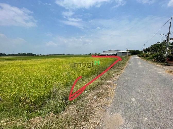 Hình ảnh BÁN SIÊU PHẨM ĐẤT CHỈ 654TR Đinh Thị Kiệm, Đôn Thuận, Trảng Bàng 174m²