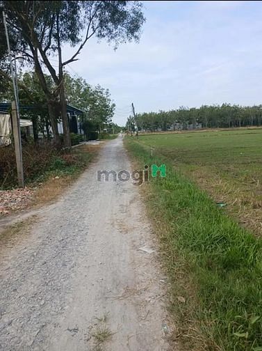 Hình ảnh VỀ QUÊ ĐỊNH CƯ ĐẤT An Tịnh, Trảng Bàng, 340m², 238tr
