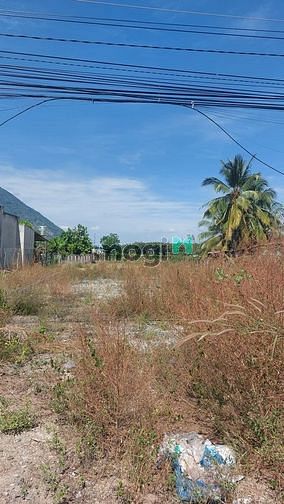 Hình ảnh THƯƠNG LƯỢNG MẠNH TAY cho khách thiện chí bán đất Ninh Thạnh TP TN