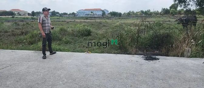 Hình ảnh MUA NGAY ĐẤT 160m² Long Tân, Long Giang, Bến Cầu giá 780tr