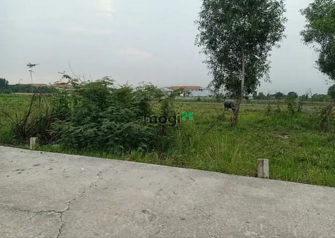 Hình ảnh BỂ NỢ BÁN ĐẤT Đi Xã Lợi Thuận, Long Khánh, Bến Cầu giá 720tr