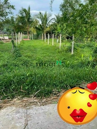 Hình ảnh Diện Tích:5×25 có 50m2tc mặt tiền đường bê tông tại Bến Cầu Tây Ninh