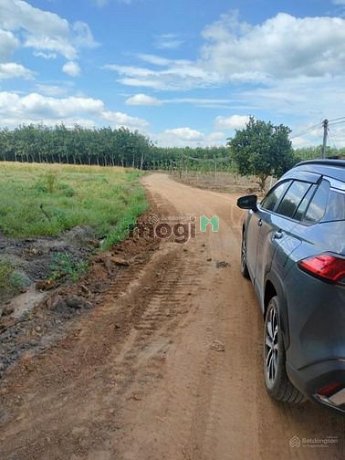 Hình ảnh Định cư ÚC bán đất ĐÔNG THÀNH - TÂN CHÂU giá tốt chỉ nửa tỷ
