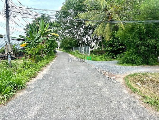 Hình ảnh THỔ CƯ 100M2 Phước MInh, DMC, 250m2, 320 triệu, PLRR