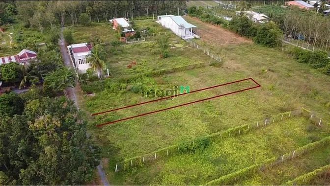Hình ảnh SIÊU RẺ ĐẤT Hiệp Thạnh, Gò Dầu, 525 triệu, 320m², PLRR