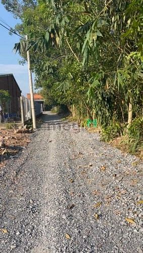 Hình ảnh SỔ HỒNG TRAO TAY đất Suối Đá, DMC, 594m2 TC 60m2, SHR