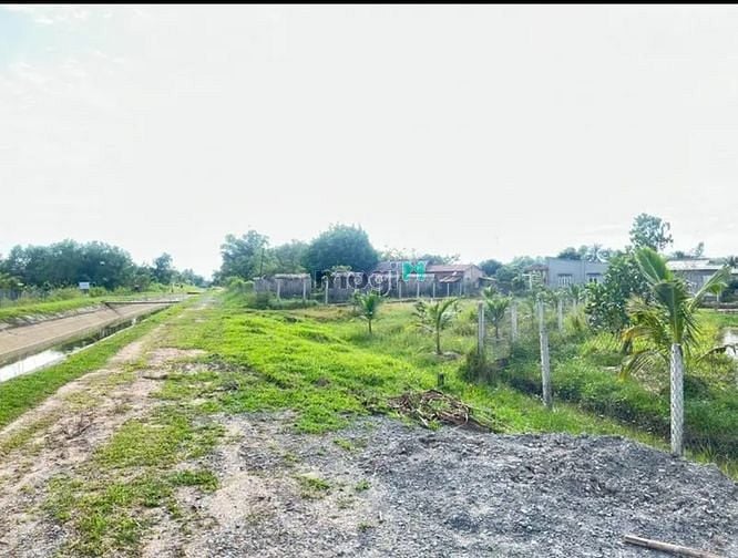 Hình ảnh CÁCH KCN 5KM ĐẤT Gia Lộc, Trảng Bàng, 245m², 495 triệu