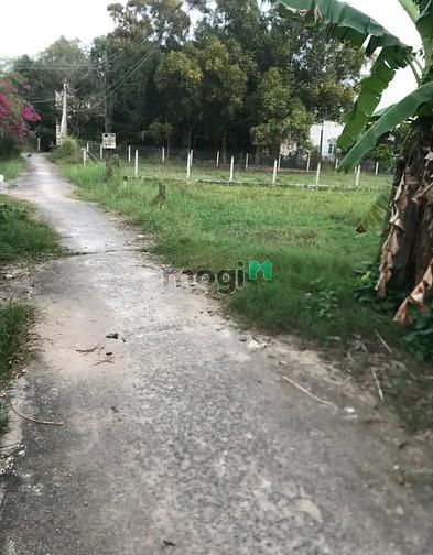 Hình ảnh BÁN LỖ ĐẤT 150m² Gò Dầu, Phước Hội, Thạnh Đức giá 579tr