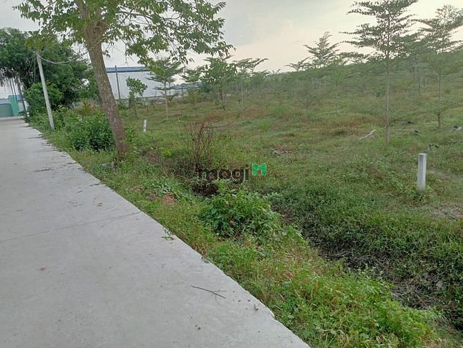 Hình ảnh Làm ăn thua lỗ bán đất ĐG TỈNH 788 - TÂN LẬP cắt lỗ chỉ 477tr