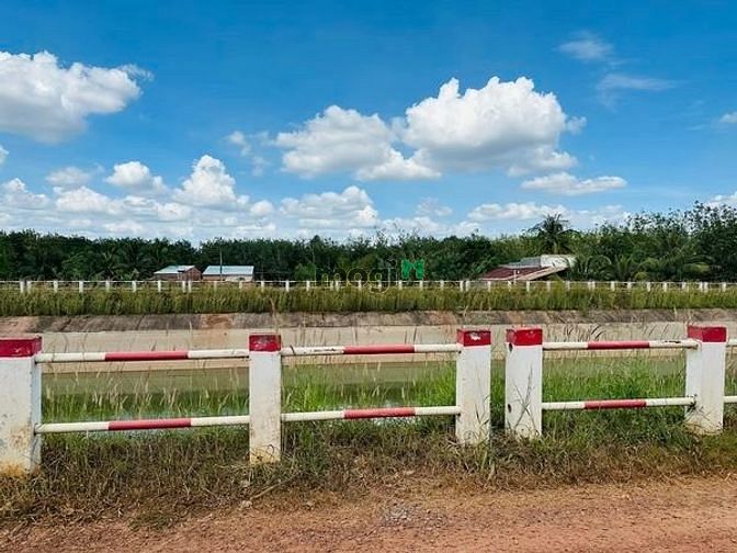 Hình ảnh Giá ngộp Trang MB66.COM Chính Thức - MB 66 Uy Tín Trà Vong Tân Biên Tây Ninh