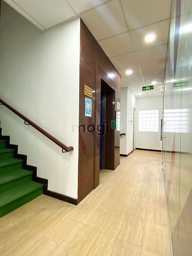 Hình ảnh Cho Thuê Tòa Nhà văn phòng 40CD Út Tịch, Phường 4, Quận Tân Bình !
