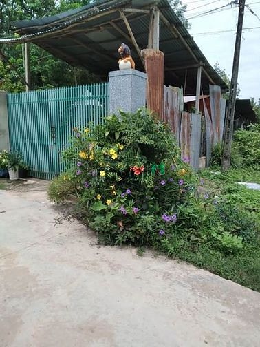 Hình ảnh Gần trường Nguyễn Thị Thị Minh Khai Ấp Cà Bình Minh vay 50%