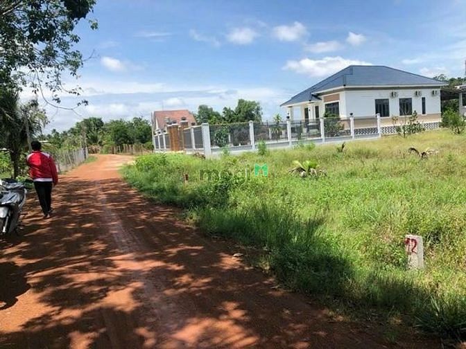 Hình ảnh Bán đất thổ cư lớn Tân Phú Tân Châu Tây Ninh 520tr