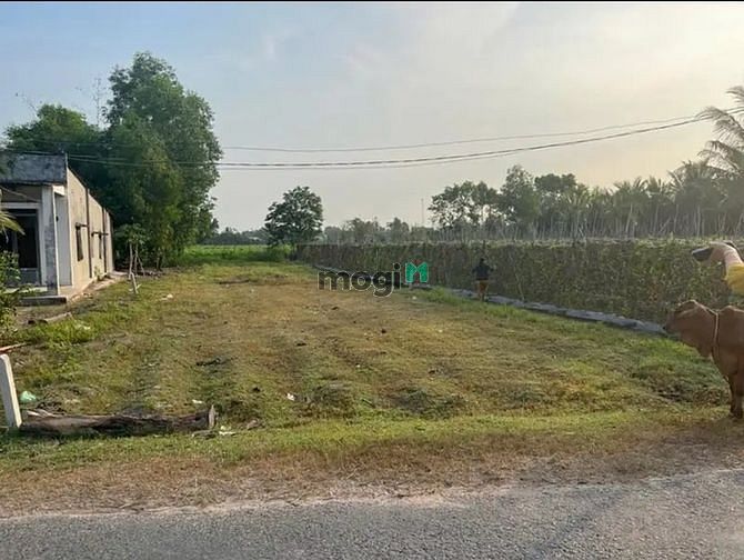 Hình ảnh CẦN BÁN GẤP ĐẤT Phước Ninh, DMC, 210m² full thổ cư, 845tr, SHR