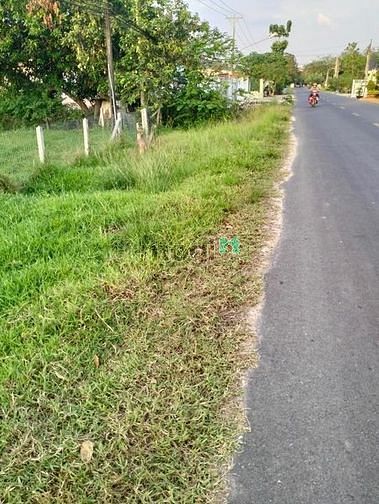 Hình ảnh Hỗ trợ tìm đất bán đất Tân Lập Tân Bình Tây Ninh