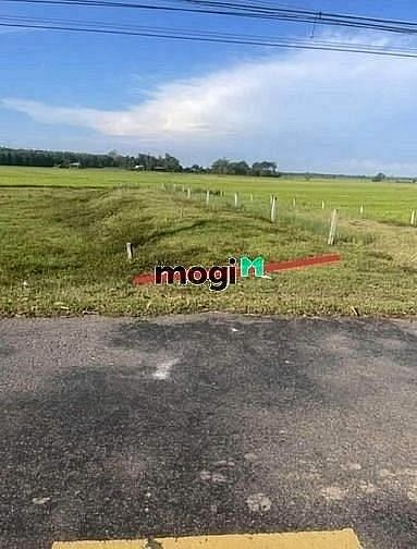 Hình ảnh ĐẤT FULL THỔ CƯ Đi Bến Tỉnh, Long Thuận, Bến Cầu 138m² giá 325tr SHR