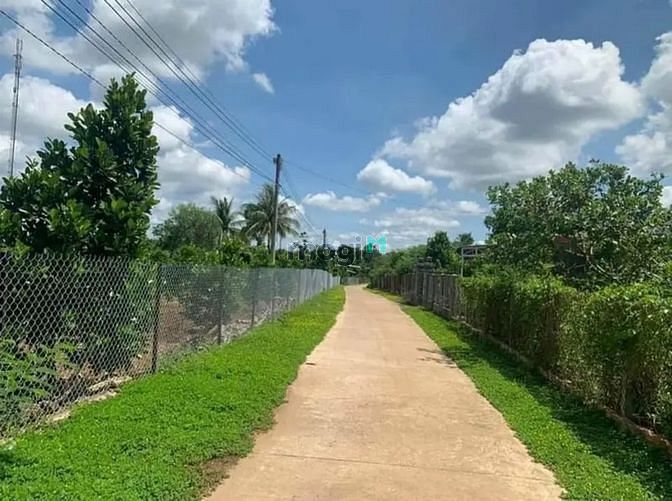 Hình ảnh Vì già cả khó khăn nên bác em muốn bán để về quê dưỡng già