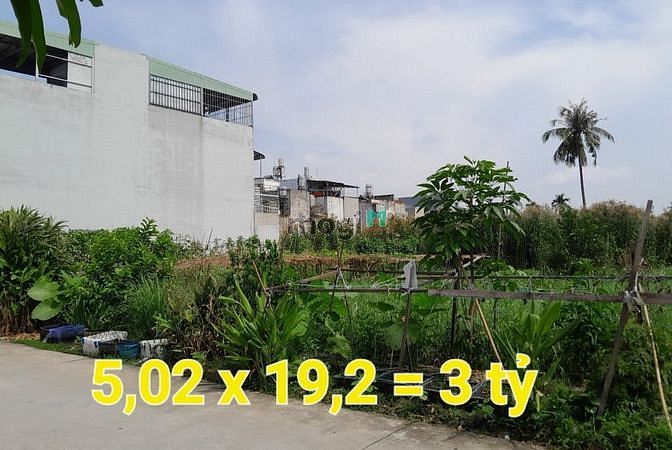 Hình ảnh 5,02 x 19,2 có 3 tỷ hà huy giáp thạnh xuân quận 12 tphcm