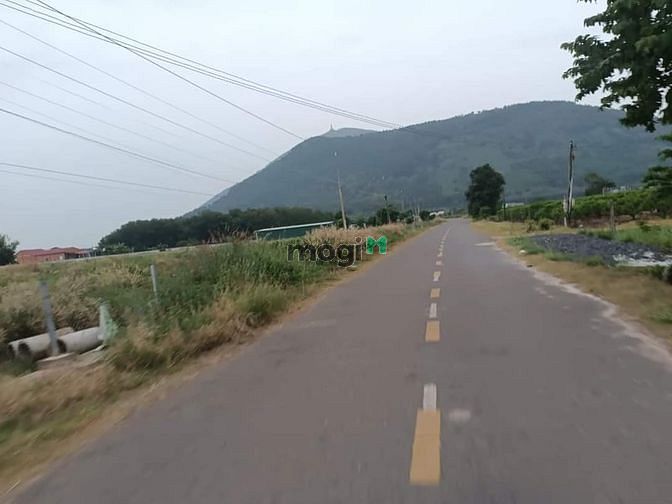 Hình ảnh Cần bán đất mặt tiền đường Tân Bình tptn. Tổng diện tích 190m²