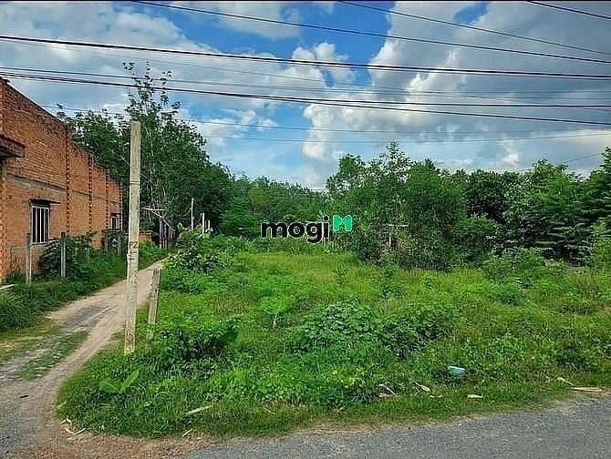 Hình ảnh ĐẤT SẠCH ĐÔNG DÂN CƯ Phước Hòa Phước Thạnh Gò Dầu 195m²