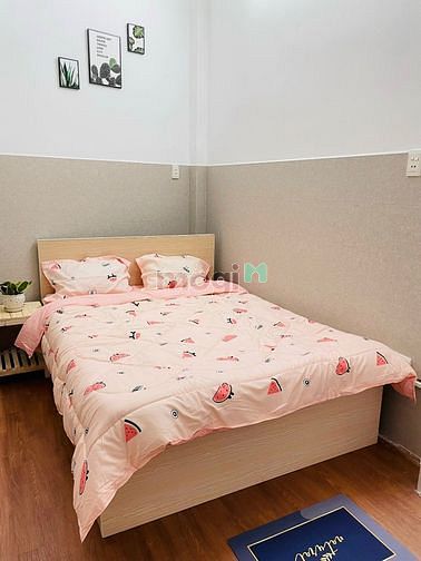Hình ảnh Cho thuê Trang Chủ MB66.COM / Đăng Ký Tặng 66K cao cấCp ngay quận 10