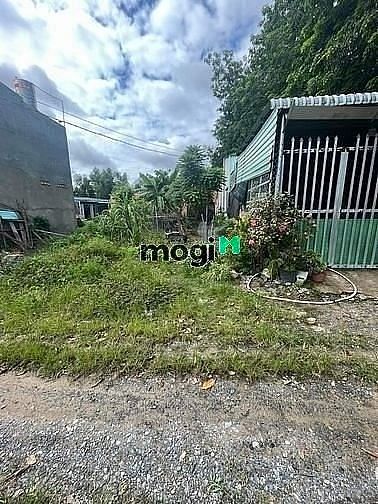 Hình ảnh Tân Biên, Tây Ninh 🌻 Ccg lô đất 🌻 Dt Tổng là 120m2 có 50m2 thổ cư