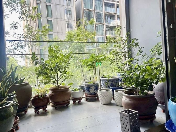 Hình ảnh 🌾Căn Hộ cao cấp có ban công, mới 100%, Full nội thất ngay Đặng Dung.
