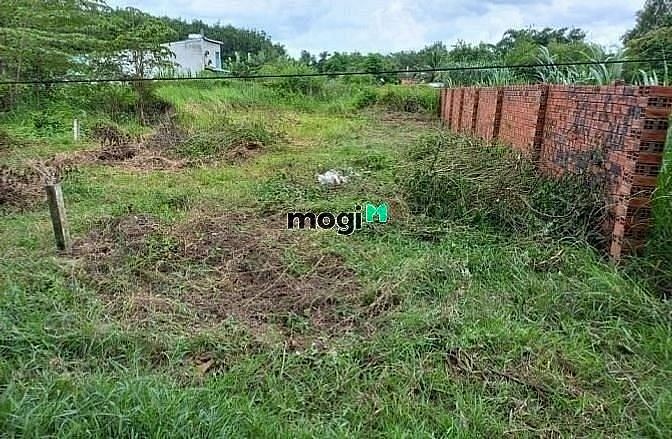 Hình ảnh chủ cần bán lô đất TX. Trảng Bàng - Tây Ninh 100m2/340tr