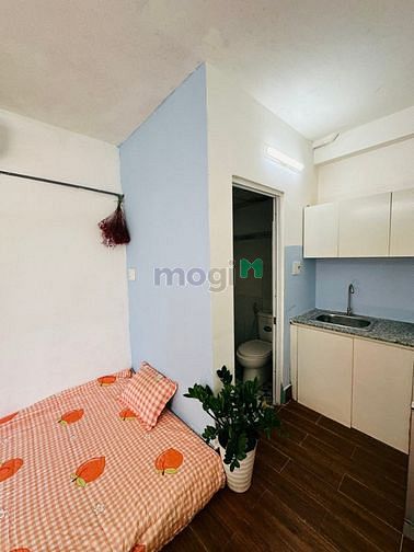 Hình ảnh Chung cư mini, Mb6623 nạp rút nhanh chóng dịch vụ, Duplex, Studio