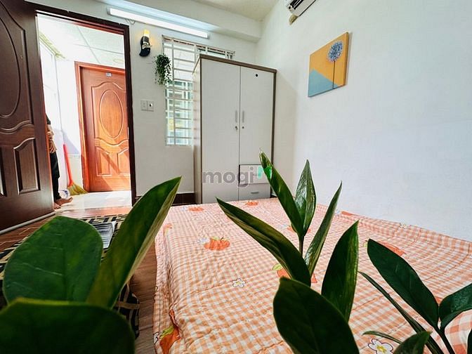 Hình ảnh Chung cư mini, Mb6623 nạp rút nhanh chóng dịch vụ, Duplex, Studio