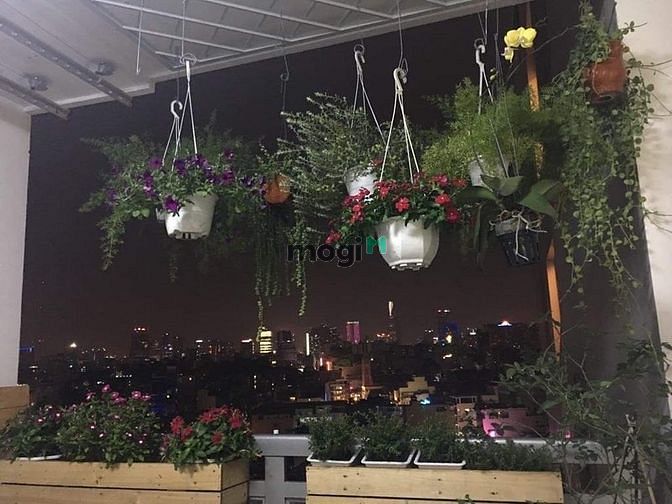 Hình ảnh Cần bán gấp CC Carillon 2 Q.TP. DT 70m2, 2P, 2WC. Giá bán 2,5 tỷ