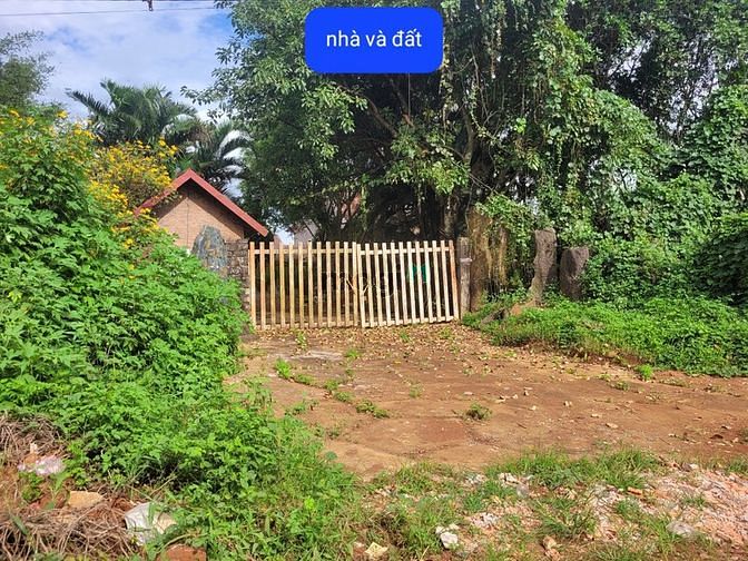 Hình ảnh ĐẤT mặt tiền Ngô Quyền tỉnh Gia Lai