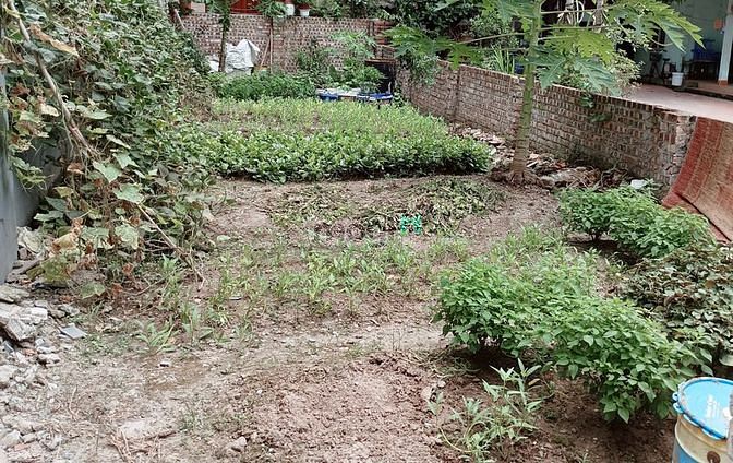 Hình ảnh Bán đất Long Biên rẻ vô đối, mặt Thạch bàn, giá hơn 3 tỷ, ô tô vào
