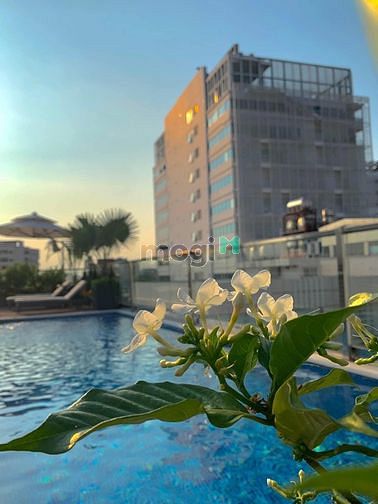 Hình ảnh 🎀Studio Cao Cấp Luxury_Thiết kế Sang trọng_Ban công Rộng_Bình Thạnh🎀