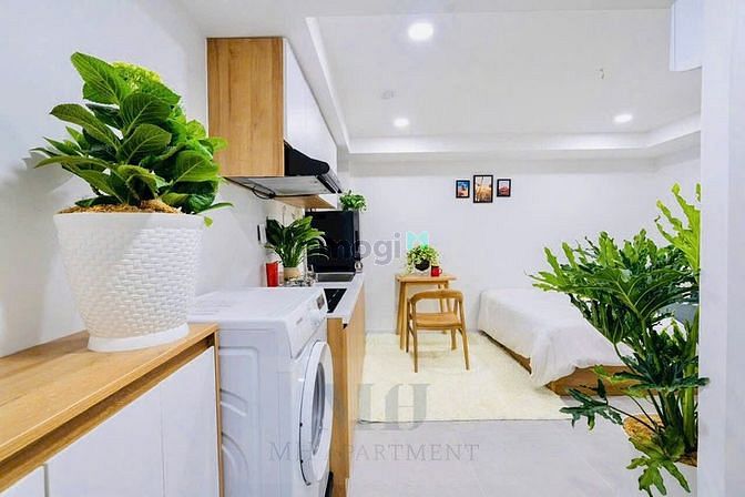 Hình ảnh 🍀Studio, Duplex bancon, cửa sổ gần chợ Tân Quy, đường đôi🍀