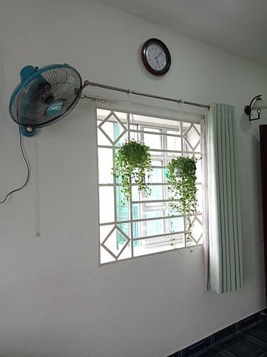 Hình ảnh Phòng Studio full nội thất, có thang máy, cửa sổ trời, gần Đầm Sen
