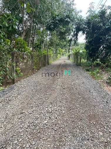 Hình ảnh Em cần ra lô đất 200m2 có 100% thổ cư ở xã Phan DMC Tây Ninh 410 triệu