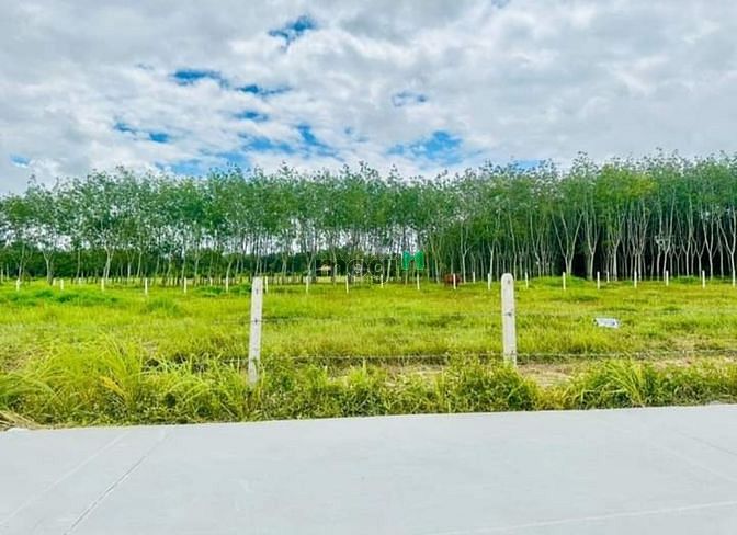 Hình ảnh SỞ HỮU NGAY ĐẤT SHR Điện Biên Phủ Hiệp Ninh TP TN 140m² giá 850tr TL