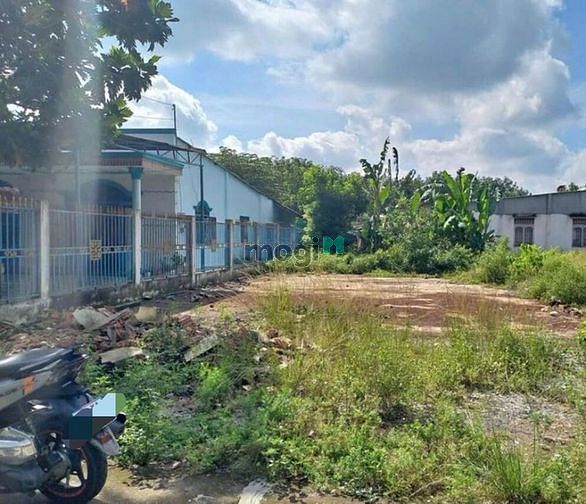 Hình ảnh THANH LÝ ĐẤT Tân Hà Tân Châu Tây Ninh 160m² giá 385tr SHR