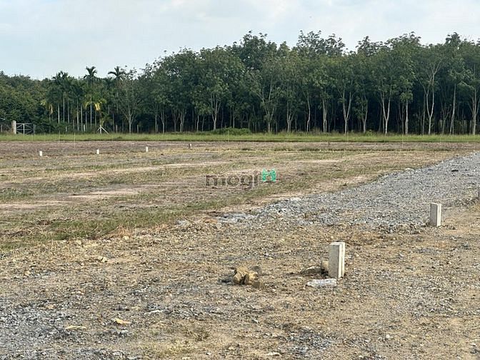 Hình ảnh Kinh tế suy thoái bán đất ẤP PHƯỚC AN - PHƯỚC THẠNH chỉ 639tr