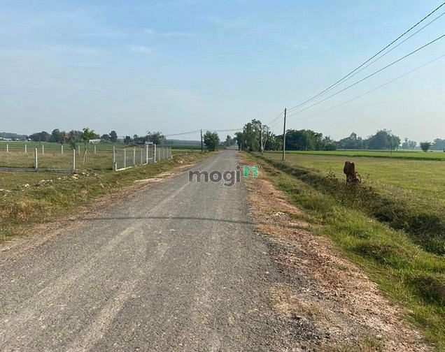 Hình ảnh PHÁP LÝ RÕ RÀNG ĐẤT Lộc Hưng, Trảng Bàng,1866m2,1tỷ770,đường đá mi