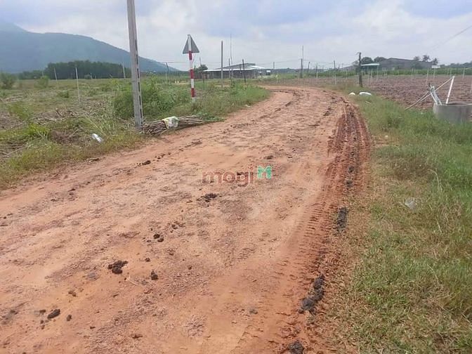 Hình ảnh Trà vong Tân biên 5*50 tc100 Giá chỉ có 680tr hết đất còn thương lượng