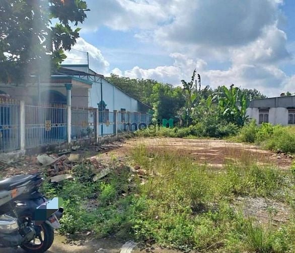 Hình ảnh CỰC SỐC TẠI Gò dầu Thạnh Đức Chỉ 3xxtr Full Thổ Cư