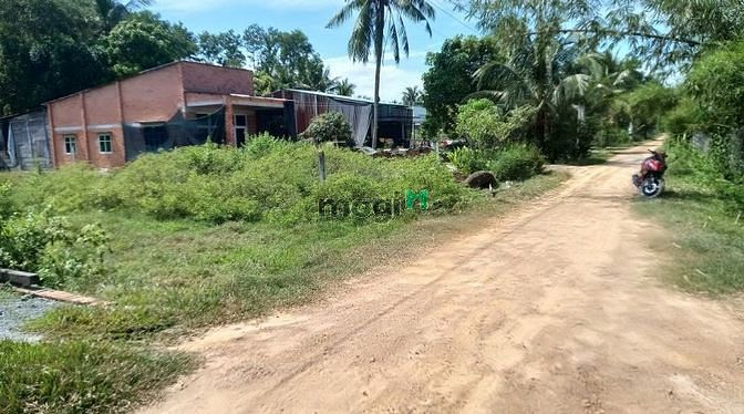 Hình ảnh ĐẤT SIÊU ĐẸP Ngay Thạnh Đức Gò Dầu Chỉ 689tr Công Chứng Ngay