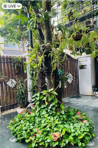 Hình ảnh Biệt thự Nam Viên siêu Vip 4 PN cho thuê giá 60,075 triệu/tháng