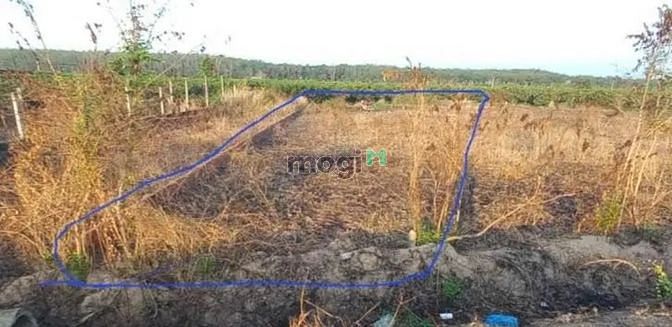 Hình ảnh Mặt Tiền ĐT 784 phường Ninh Sơn TP Tây Ninh. View Núi 5x42 hnk 455tr