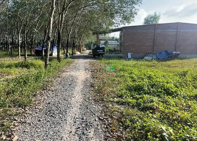 Hình ảnh CẦN BÁN NHANH TRONG 2 NGÀY DT : 5m x 27m thổ cư full hết đất Hòa Thành